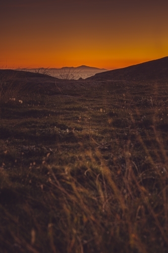 A Peaceful Field with the You Yangs in the Distance at Sunrise - Australian Stock Image