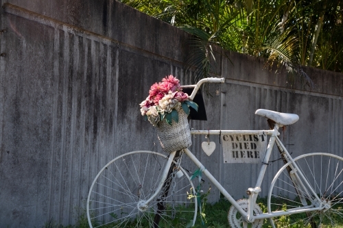 a repurposed white bicycle with a basket full of flowers and memorial  signage - Australian Stock Image