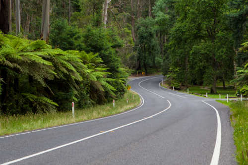 A road winds through the Black Spur near Healesville, Victoria, Australia - Australian Stock Image