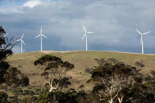 A row of wind turbines on a grassy hill in a paddock - Australian Stock Image