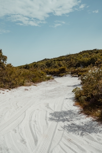 A sandy 4WD track surrounded by coastal vegetation near Honeyeater Lake