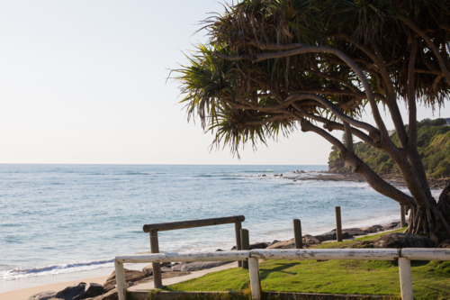 A sandy beach and grass area framed by tree foliage leads to an empty beach with a rocky point break - Australian Stock Image