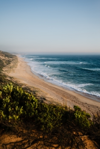 A sandy beach stretching along the bottom half and the ocean extending towards the horizon - Australian Stock Image