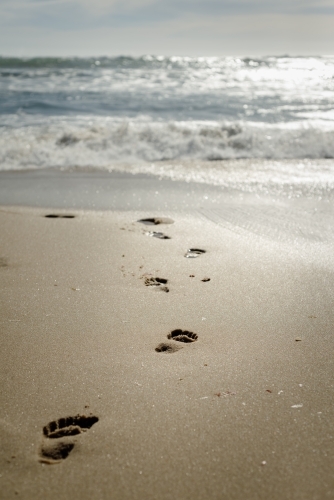 A series of footprints in the sand leading towards the ocean - Australian Stock Image