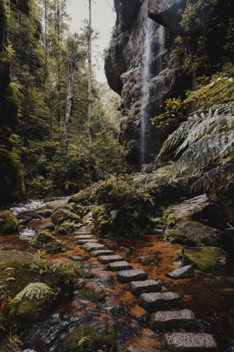 A stone path winding through the lush rainforest on the Grand Canyon Walking Track - Australian Stock Image