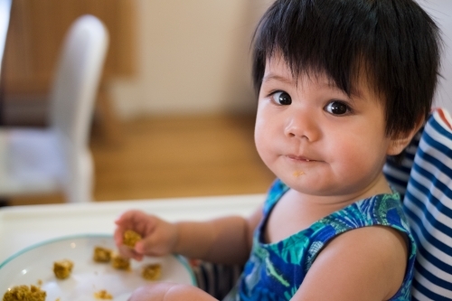 a toddler eating while seated on a high chair - Australian Stock Image