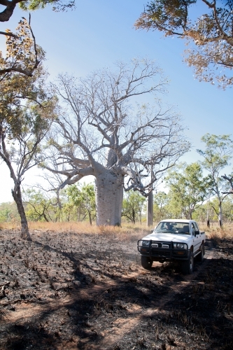 A ute driving along a dirt road in the outback - Australian Stock Image