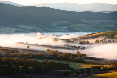 A view across a valley at sunrise in the Yarra Valley in Victoria, Australia - Australian Stock Image