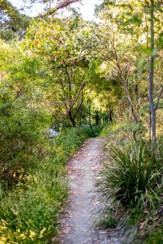 A walking track along the coast at Fortescue Bay - Australian Stock Image