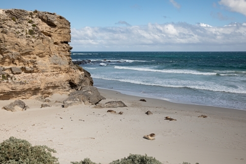 A white sandy beach with shrubs, rocks and boulders - Australian Stock Image