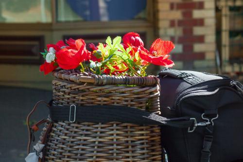 A wicker basket of red poppies - Australian Stock Image