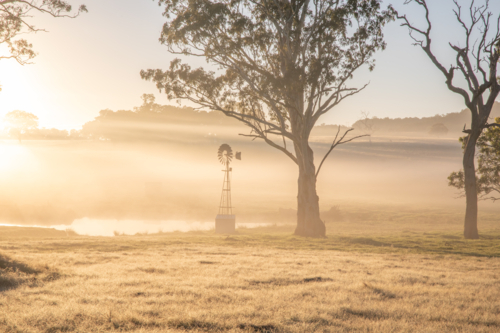 A windmill and a misty morning country scene - Australian Stock Image