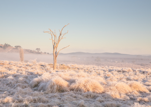 A winter scene in the country - Australian Stock Image