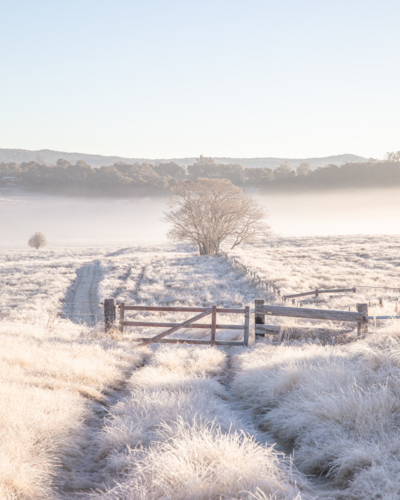 A winter scene in the country - Australian Stock Image