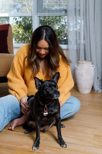 A woman at home brushing her dog - Australian Stock Image