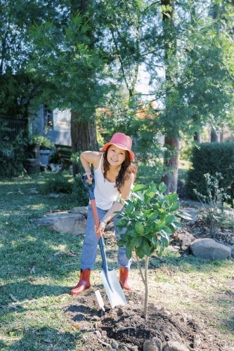 A woman planting a little lemon tree in her backyard