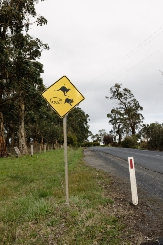 A yellow sign on the side of an Australian road warning traffic of native animals, - Australian Stock Image