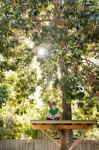 A young boy wearing a hat sitting in a platform tree house in an australian backyard - Australian Stock Image