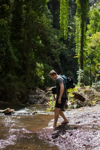 A young male gingerly hikes barefoot across a slippery rainforest stream. - Australian Stock Image