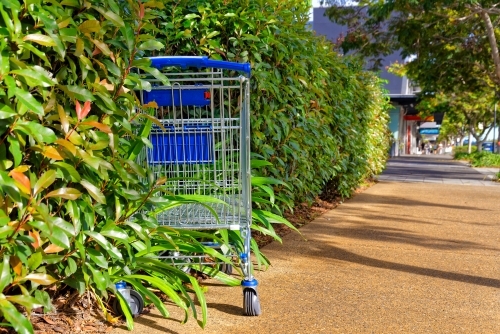 Abandoned shopping trolley on footpath and pushed into the hedge - Australian Stock Image