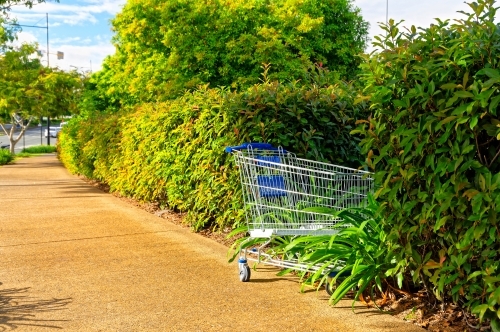 Abandoned shopping trolley pushed into the hedge and left behind on sidewalk - Australian Stock Image