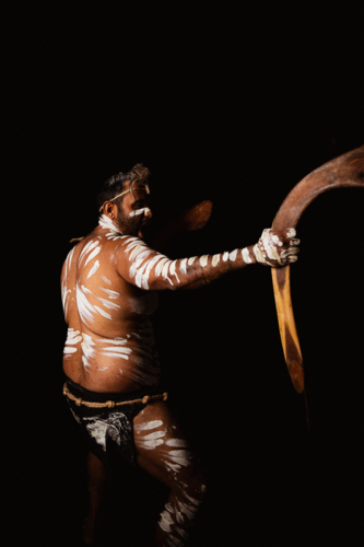 Aboriginal man holding a pair of boomerangs in a dark background. - Australian Stock Image