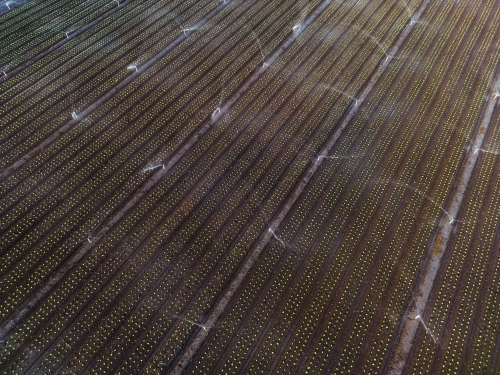 Aerial image of the rich brown earth in the agricultural area of Gatton, Queensland - Australian Stock Image