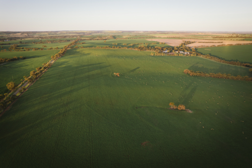 Aerial landscape sunset over a wheat and sheep farm in the Avon Valley of Western Australia - Australian Stock Image