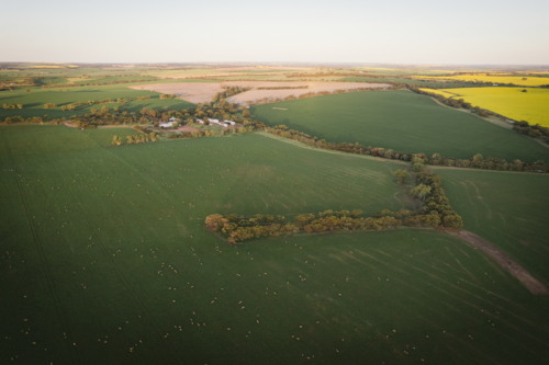 Aerial landscape sunset over a wheat and sheep farm in the Avon Valley of Western Australia - Australian Stock Image