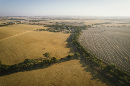 Aerial of harvest landscape on sunrise in the Avon Valley of Western Australia - Australian Stock Image