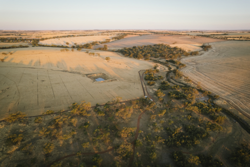 Aerial of harvest landscape on sunset in the Avon Valley of Western Australia - Australian Stock Image