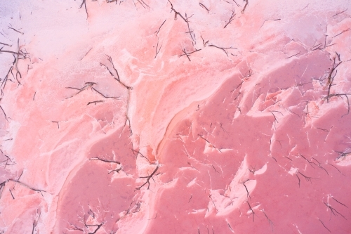 Aerial of salty shore & pink water scattered with dead trees in a salt lake in Western Australia - Australian Stock Image