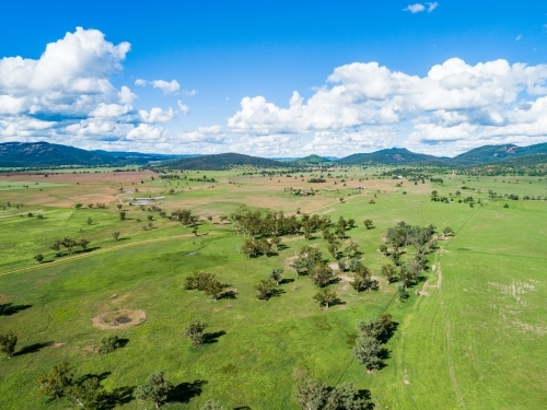 Aerial photo of green farm paddock on Aussie farm - Australian Stock Image