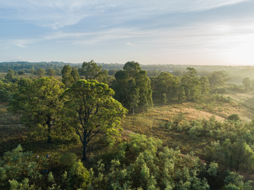 Aerial view hazy morning light over bushland and gum trees in Hunter Valley - Australian Stock Image