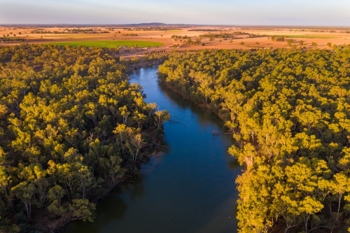 Aerial view of a bend in a river with gum trees lining the river banks. - Australian Stock Image