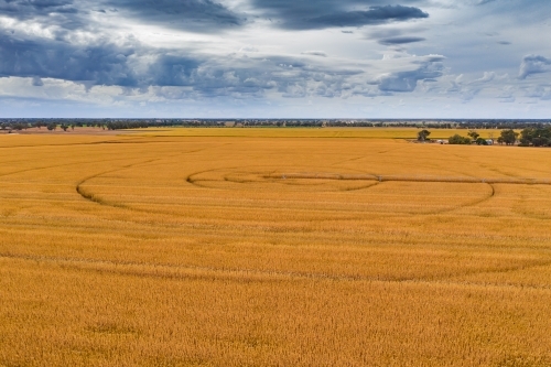 Aerial view of a crop of dried corn with circular rings and an irrigation sprinkler - Australian Stock Image