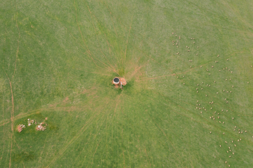 Aerial view of a farm with grazing livestock on the field. - Australian Stock Image