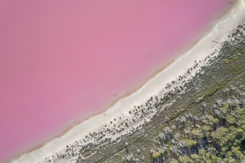 Aerial view of a natural phenomenon of a pink lake. - Australian Stock Image