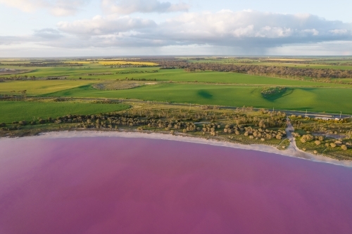 Aerial view of a natural phenomenon of a pink lake.