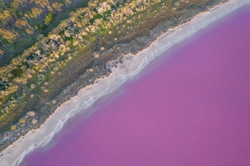 Aerial view of a natural phenomenon of a pink lake. - Australian Stock Image