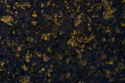 Aerial view of Australian bush on a hill covered in deep shadow - Australian Stock Image