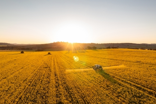 Aerial view of canola crop being sprayed at sunset - Australian Stock Image