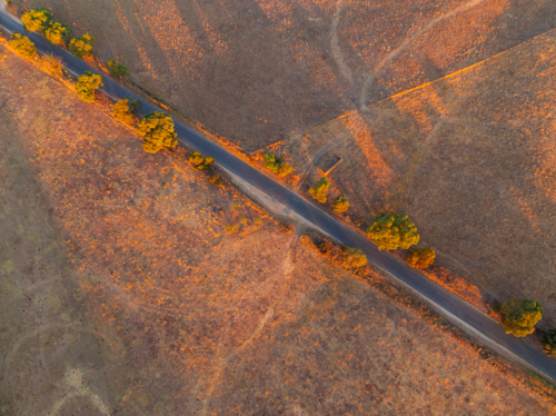 Aerial view of golden evening light on a country road running through dry rural farmland - Australian Stock Image