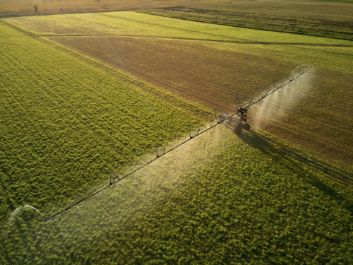 Aerial view of irrigator watering grass for fodder. - Australian Stock Image