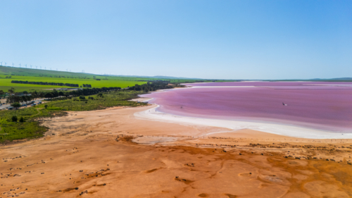 Aerial view of pink lake with sandy shoreline - Australian Stock Image