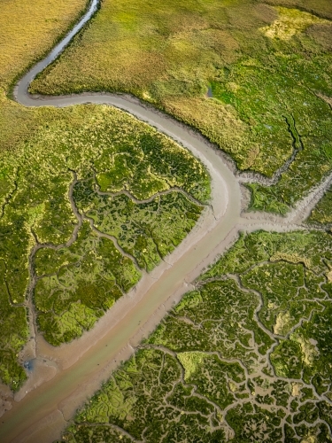 Aerial view of river and wetlands