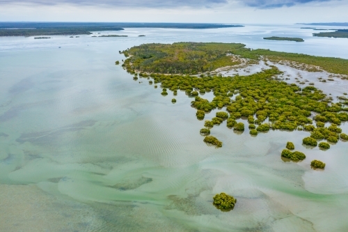 Aerial view of tidal patterns and mangroves in a coastal estuary - Australian Stock Image