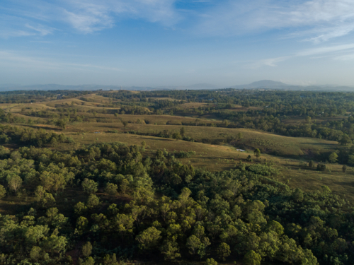 aerial view of trees undulating hills in rural country paddock in Singleton, Hunter Valley, NSW - Australian Stock Image