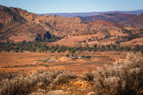 Afternoon light at Flinders Rangers South Australia - Australian Stock Image