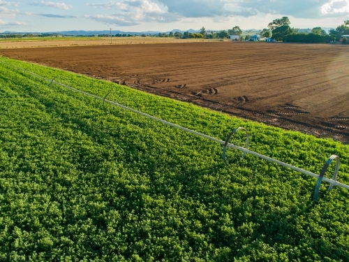 Afternoon sunlight on farm paddock and irrigation system sprinkler - Australian Stock Image